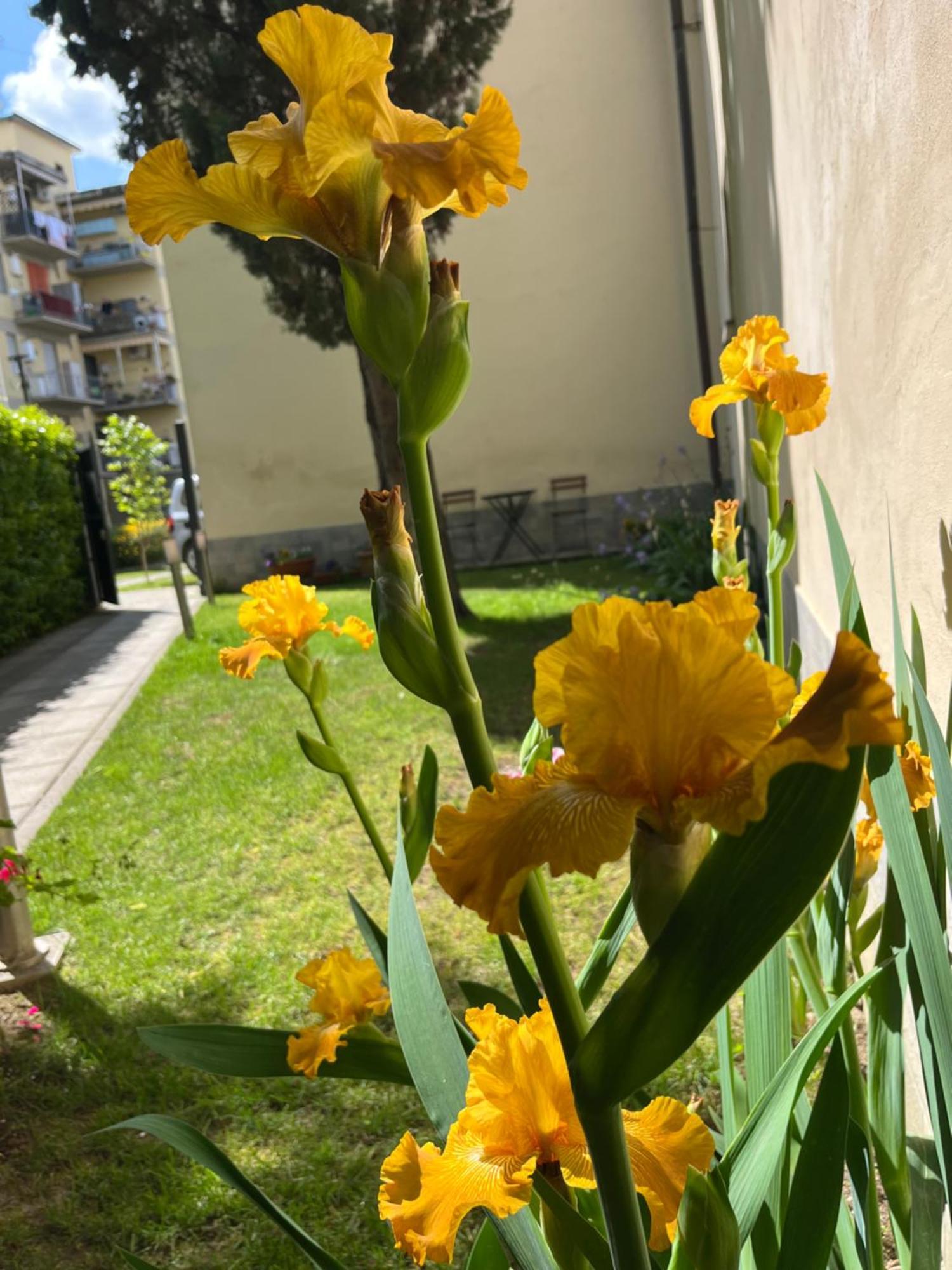 Dalu Florence Apartment Davide - Private Car Park 15 Minutes To The City Center Exterior foto